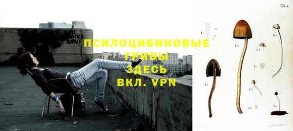ПСИЛОЦИБИНОВЫЕ ГРИБЫ Зеленодольск