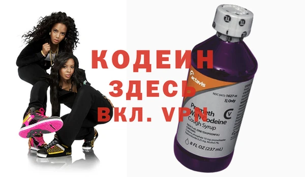 дурь Инта