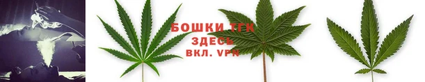 дурь Инта