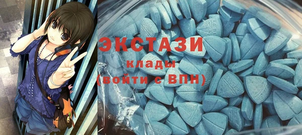дурь Инта