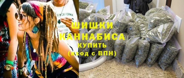 дурь Инта