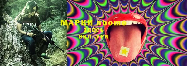 прущая мука Инсар