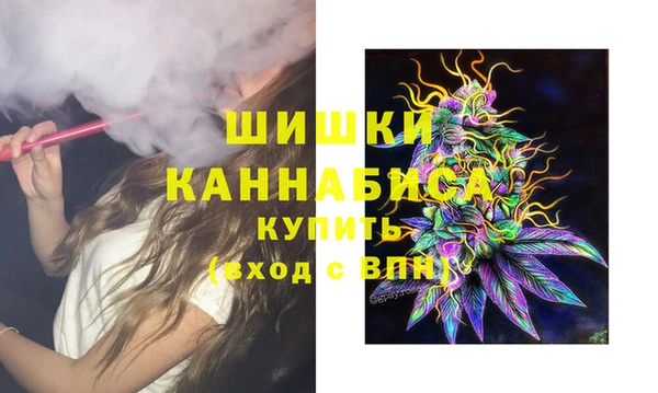 дурь Инта