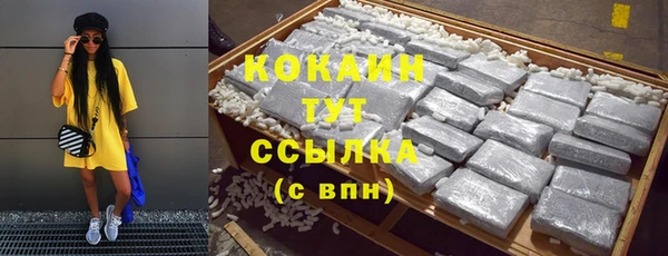 прущая мука Инсар