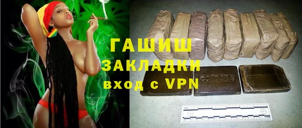прущие грибы Сясьстрой