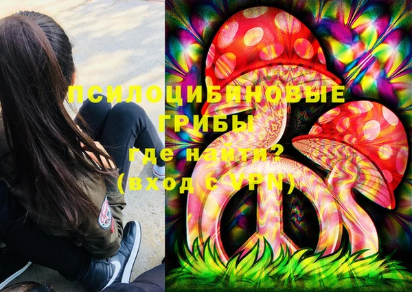 дурь Инта