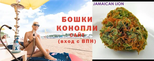 дурь Инта